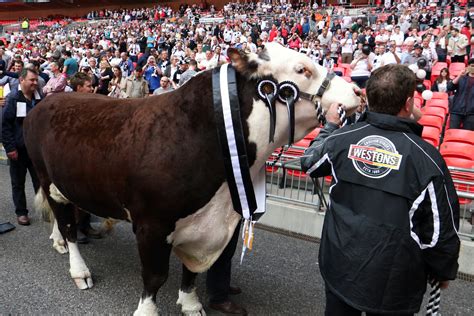 Ten Years Of Wembley | Hereford FC - The Official website of Hereford FC