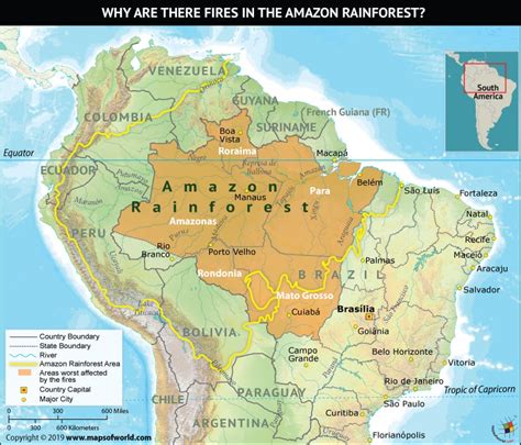 Why are there Fires in the Amazon Rainforest? - Answers