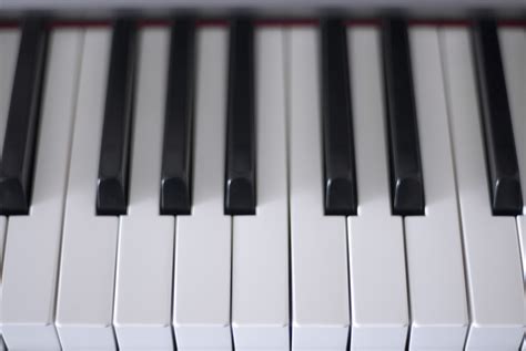 Free Stock Photo 4023-piano keys | freeimageslive