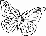Butterfly Coloring Pages  Free Download On ClipArtMag sketch template