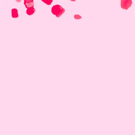 Rose Petals Pink Free Gif On Pixabay - vrogue.co