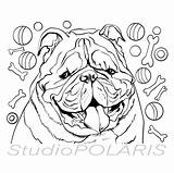 English Bulldog Coloring Pages  Home sketch template