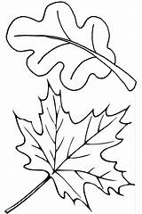Coloring Page Of Leaves sketch template