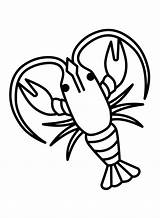 Crawfish Coloring Pages Printable For Free Download sketch template