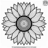 Vivid Sunflower Mandala Coloring Pages sketch template
