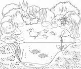 Coloring Duck pond Stock Vector By ©mariaflaya 90866078 sketch template