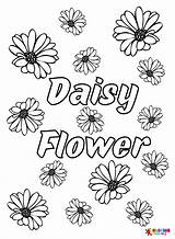 40  Daisy Coloring Pages Free Printable PDF JPG PNG & Online Coloring sketch template