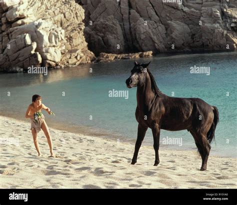 KELLY RENO, THE BLACK STALLION, 1979 Stock Photo - Alamy