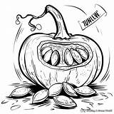 Seed Coloring Pages  Free & Printable sketch template