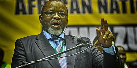 ANC Integrity Commission likely to clear Gwede Mantashe