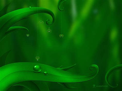 🔥 Free Download Green Wallpaper Widescreen Nature by @ronaldgoodman | WallpaperSafari