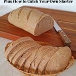 Easy Sourdough Bread Recipe, Plus Sourdough Starter Tips