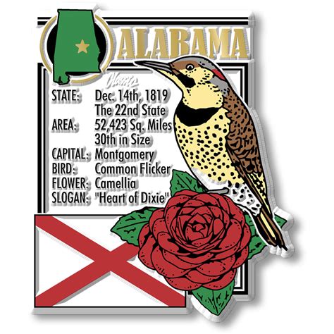 Alabama State Montage Magnet - ClassicMagnets.com