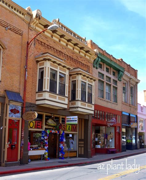 Historic-Bisbee - Ramblings from a Desert Garden