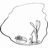 Pond Coloring Pages Printable Sketch Page sketch template