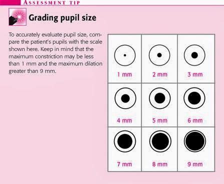 Pupil Size Chart Printable