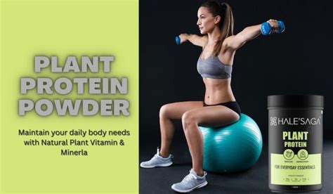 Best Plant-Based Protein Powder | Plant Based Protein