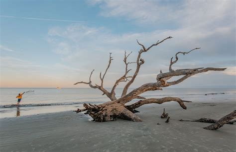 Best of Jekyll Island 2024 | ExploreGeorgia.org