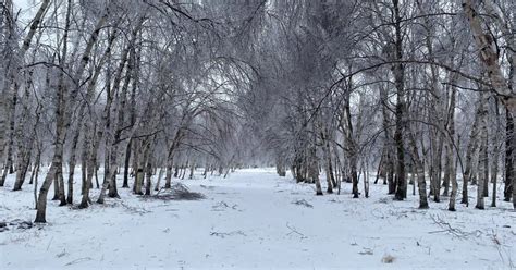 Relief in Rain, Freezing Rain and Snow Coming | VOCM