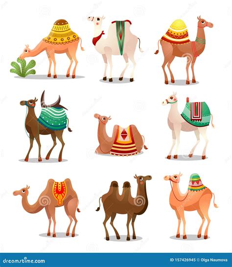 Camel Icons Set . Raster Illustration in Flat Cartoon Style Stock Vector - Illustration of ...