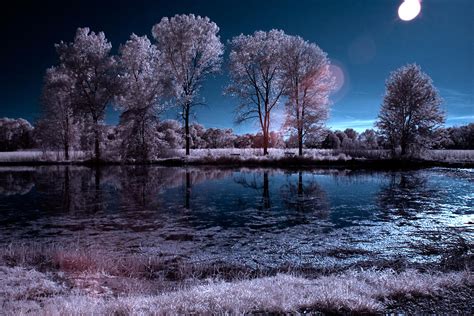 Lake St. Clair Metropark South Marsh IR1 Photograph by Joseph Skalny - Fine Art America