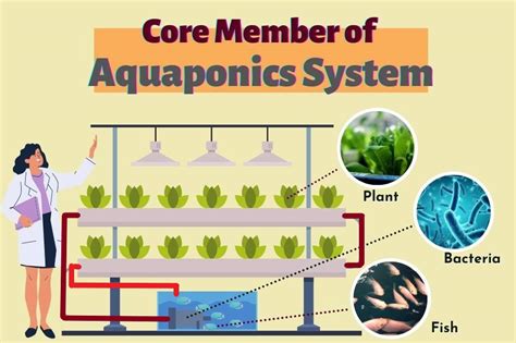 What's Aquaponics and how does it work in urban farming