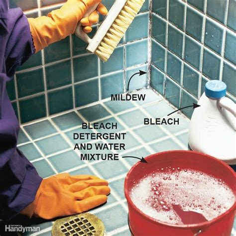 10 Tips For Removing Mold and Mildew | The Family Handyman