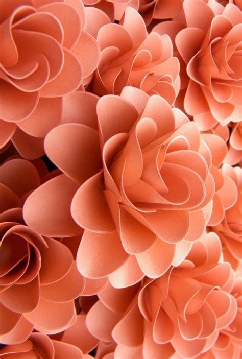 ~ It's a Colorful Life ~: Photo | Orange aesthetic, Peach aesthetic, Flower aesthetic