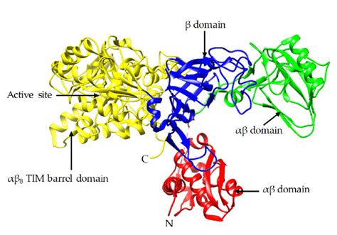 Crystal structure of Jack bean urease (PDB: 3LA4). | Download Scientific Diagram