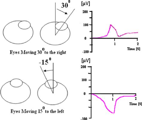 Figure 1 from Classification of Eye Movements Using Electrooculography and Neural Networks ...