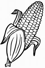 12 Fun Real And Cute Corn Coloring Pages For Kids  sketch template