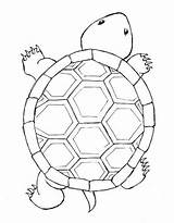 Turtlethink Of All The Different color You Could Use If This  sketch template