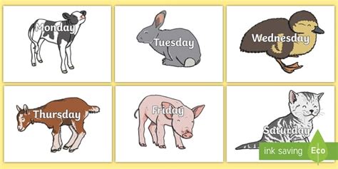 Days of the Week on Cute Animals (Hecho por educadores)