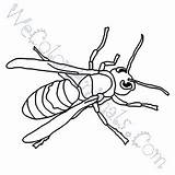 Hornet Coloring Pages Kids Printable Sketch Page sketch template