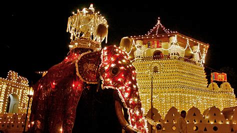 Sri Lanka: Tour highlights Kandy Esala Perahera festival - LA Times