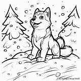Cute Husky Puppies Coloring Pages sketch template