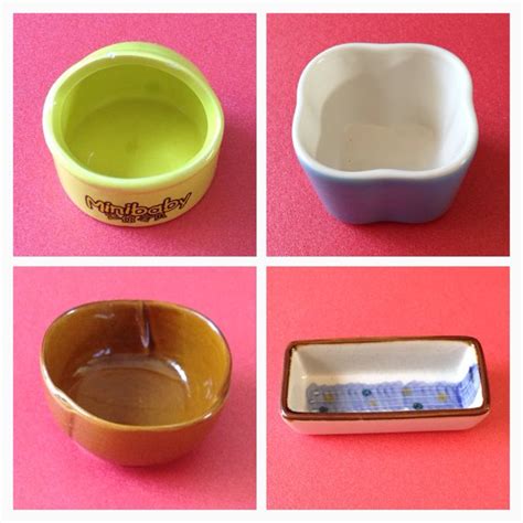 😱 $2 Only! Used Ceramic Hamster Food Bowl, Pet Supplies on Carousell