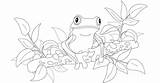 Coloring Pages Of Frog A Hoppin Good Time For Kids sketch template
