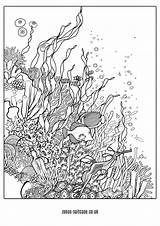 Printable Ocean Scene Coloring Pages  Word Searches sketch template