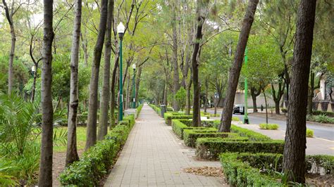 Visitá Polanco: lo mejor de Polanco, Ciudad de México en 2023 | Viajá con Expedia