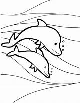 Dolphins Coloring Pages 100 Pictures Free Printable sketch template