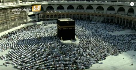 Millions of flying cockroaches infest Great Mosque in Mecca (video ...