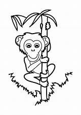 Monkey Coloring Page sketch template
