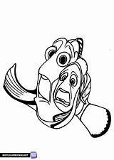 Finding Nemo coloring Pages  Bestcoloringpagesnet sketch template
