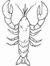 Lobster coloring page  ColouringPages sketch template