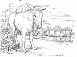Donkey 5 coloring page sketch template