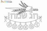 Sukkot Coloring Pages sketch template