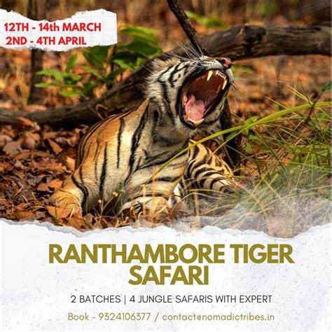 Ranthambore Tiger Safari | Best Time to Visit | Book Safari