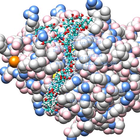 Corresponding paper: Kawabata, Oda, Kawai: "Mutational analysis of ...