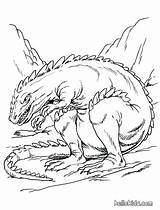 Real Life Animal Coloring Pages At GetDrawings  Free Download sketch template